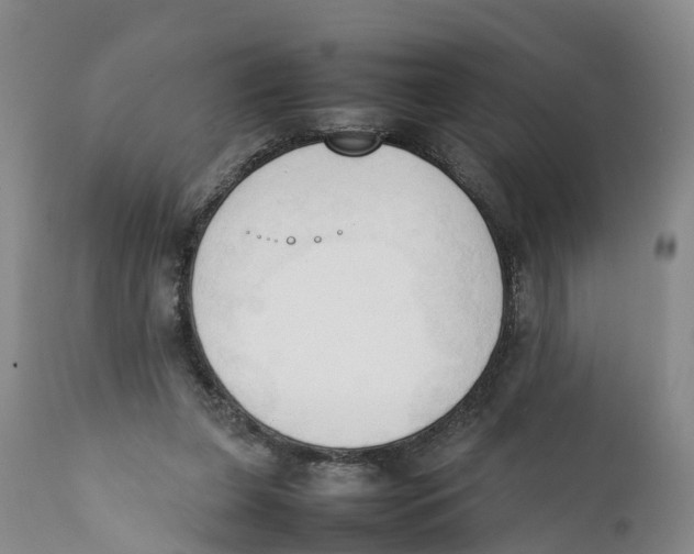 X0000111950255200908241211