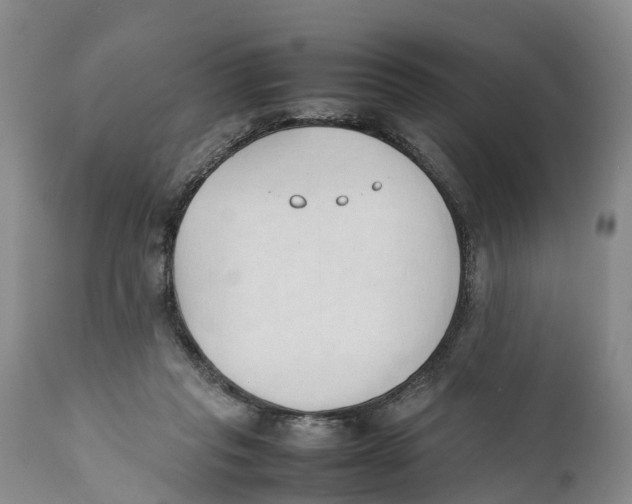 X0000111950261200908241211