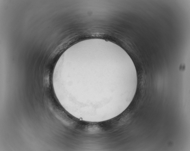 X0000111950262200908241211