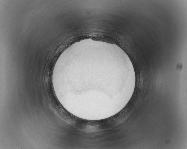 X0000111950263200908241211