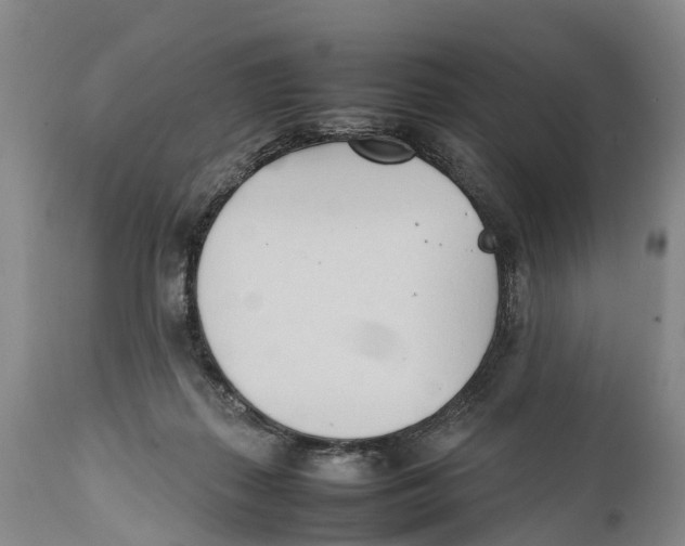 X0000111950267200908241211
