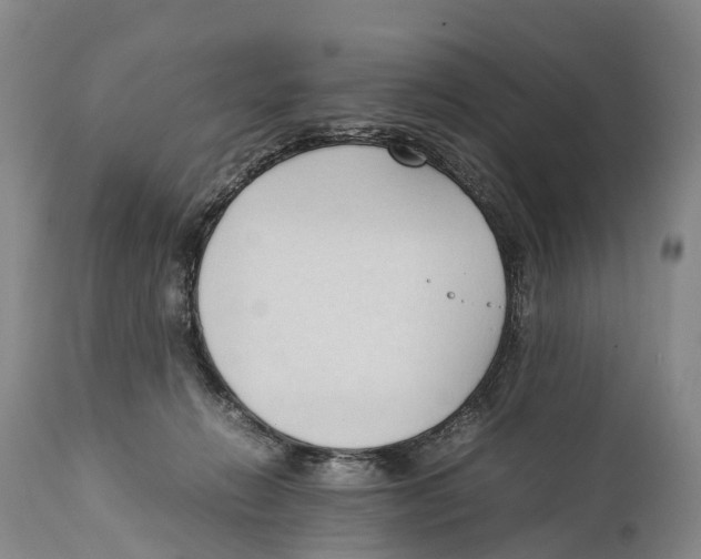 X0000111950270200908241211