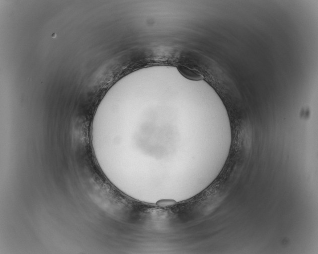 X0000111950272200908241211