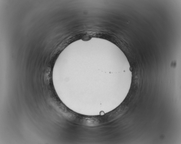 X0000111950275200908241211