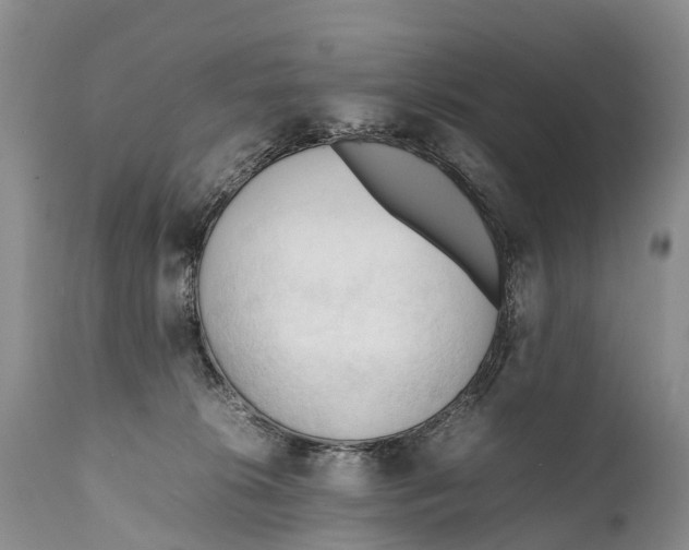 X0000111950276200908241211