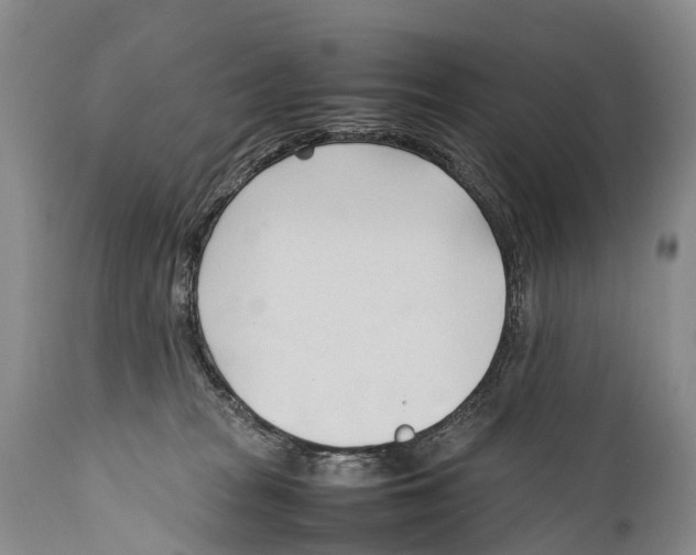 X0000111950277200908241211