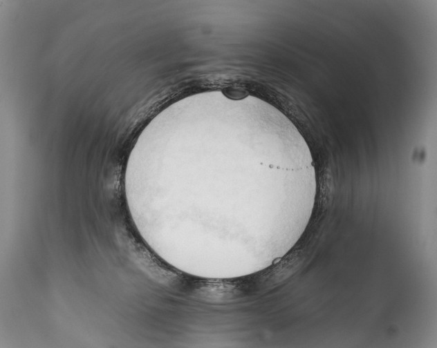 X0000111950278200908241211