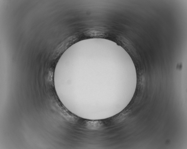 X0000111950281200908241211
