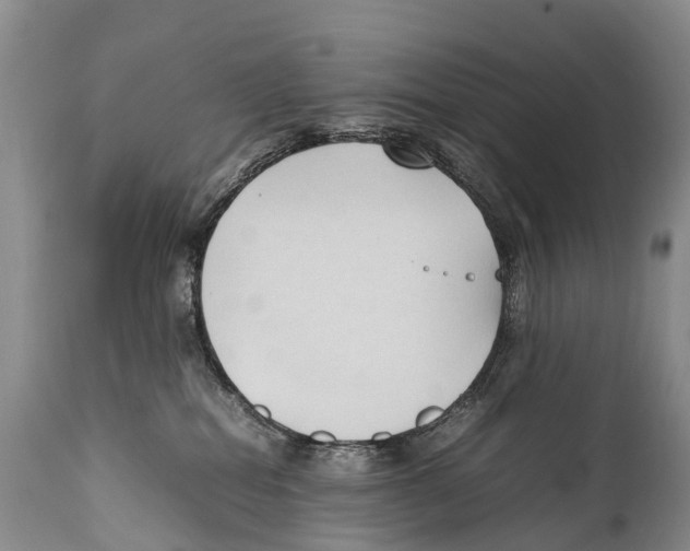 X0000111950282200908241211