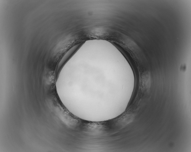X0000111950284200908241211