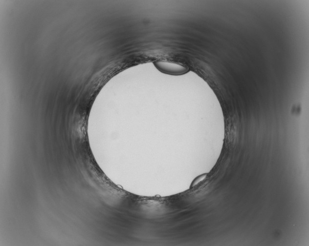 X0000111950285200908241211