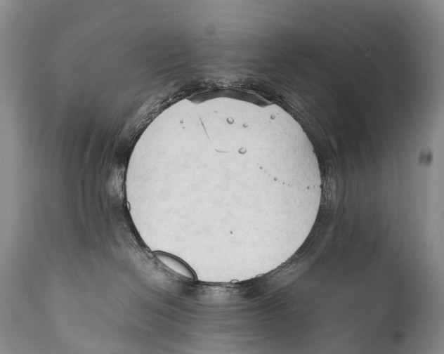 X0000111950286200908241211