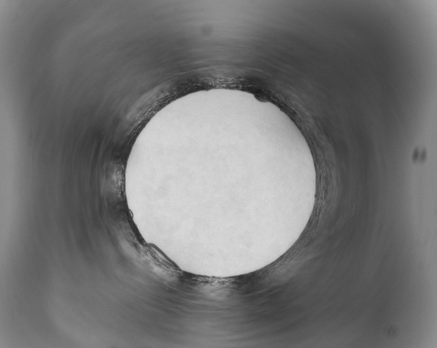 X0000111950288200908241211