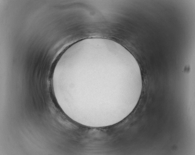 X0000111950290200908241211