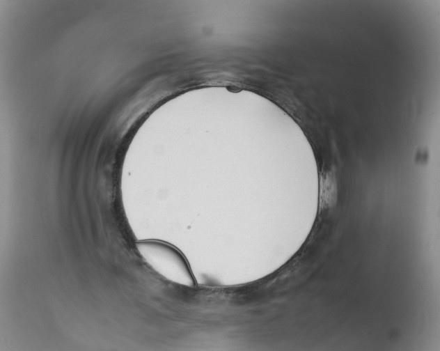 X0000111950291200908241211