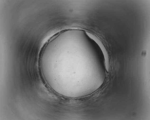 X0000111950292200908241211