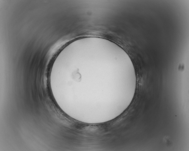 X0000111950294200908241210