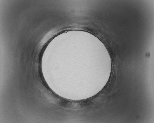 X0000111950295200908241210