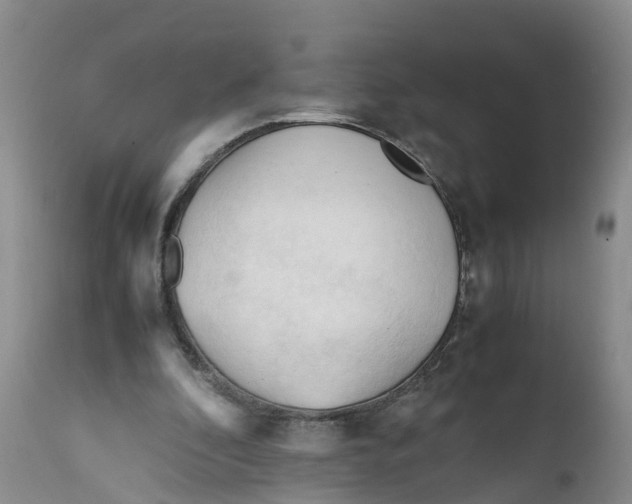 X0000111950296200908241210