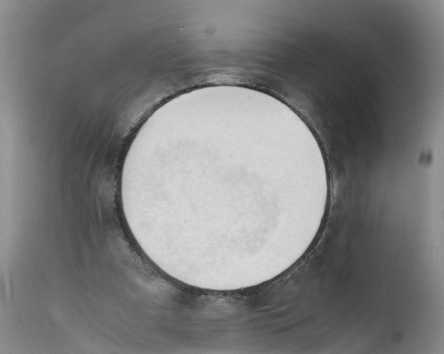 X0000111950297200908241210
