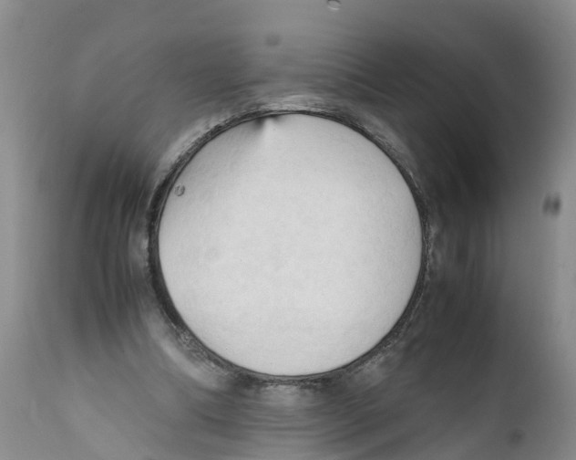 X0000111950298200908241210