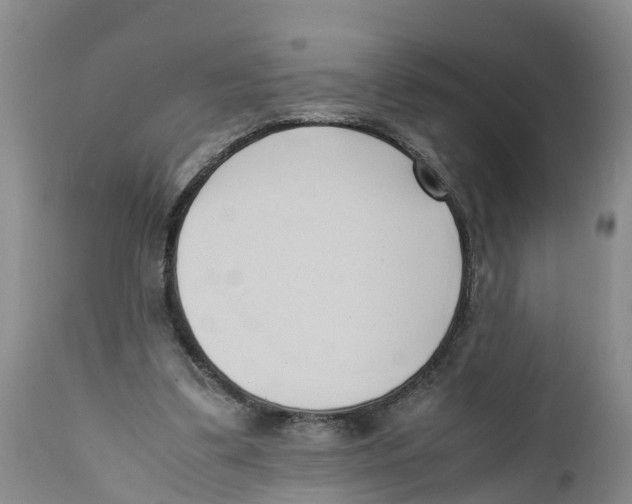 X0000111950299200908241210