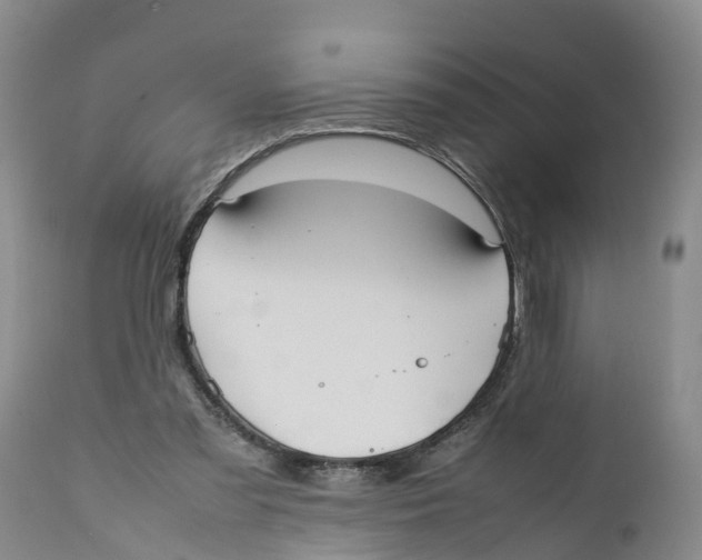 X0000111950301200908241210