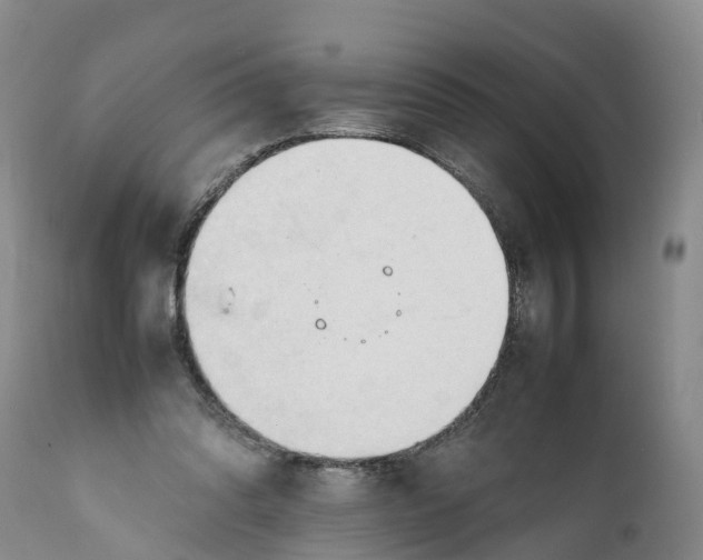 X0000111950302200908241210