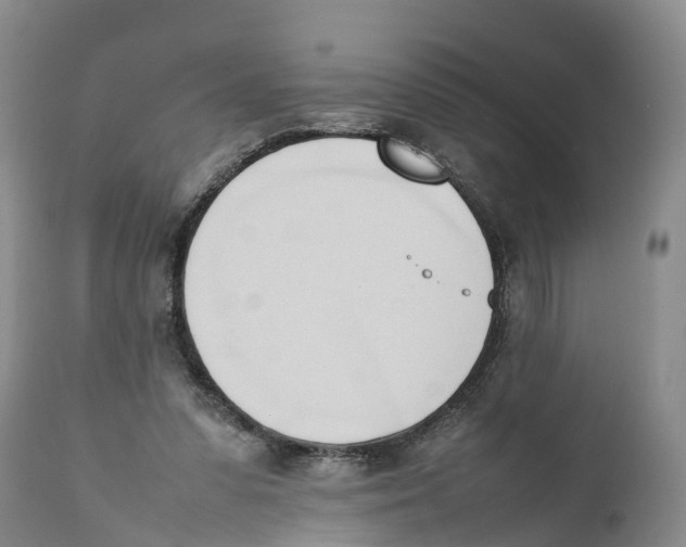 X0000111950303200908241210