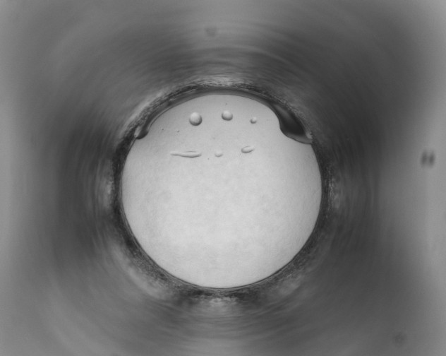 X0000111950304200908241210