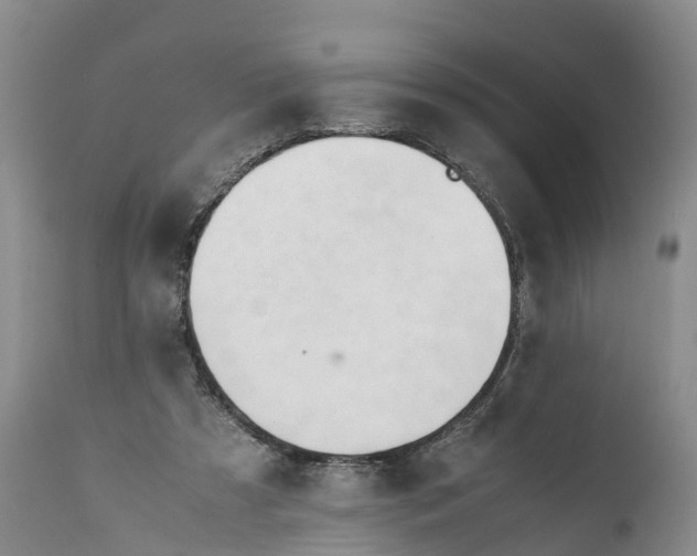 X0000111950305200908241210