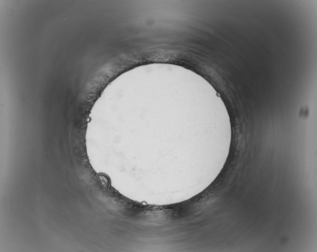 X0000111950307200908241210