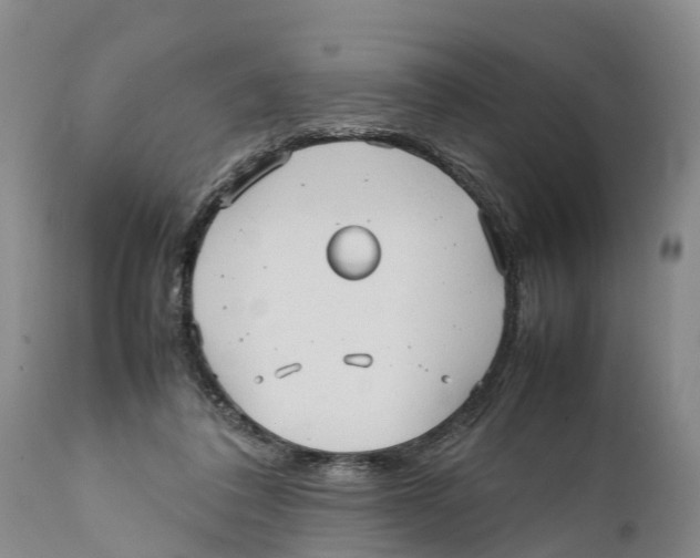 X0000111950308200908241210