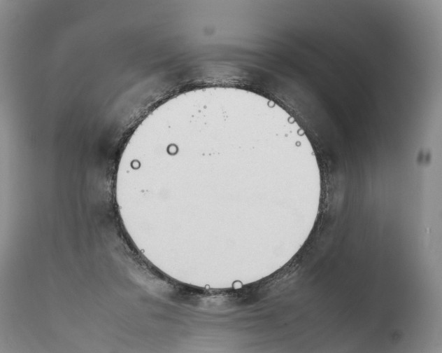X0000111950309200908241210