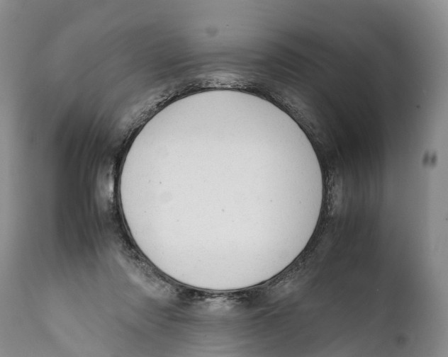 X0000111950310200908241210