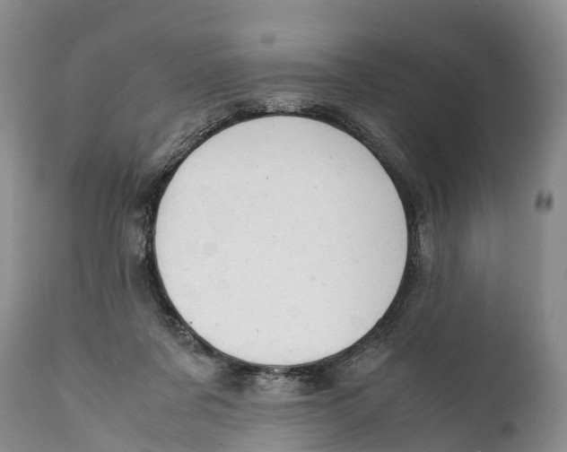 X0000111950311200908241210