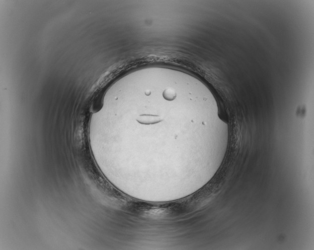 X0000111950312200908241210