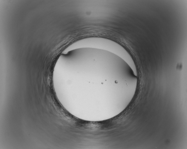 X0000111950313200908241210