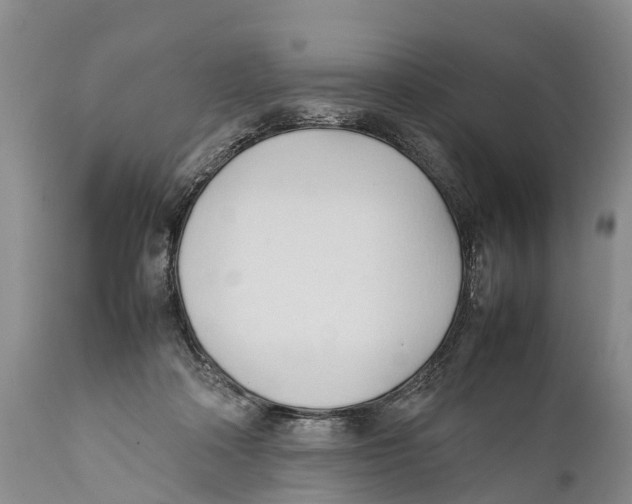 X0000111950314200908241210