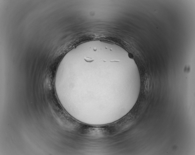 X0000111950316200908241210