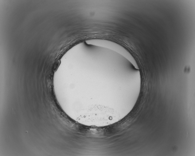 X0000111950317200908241210