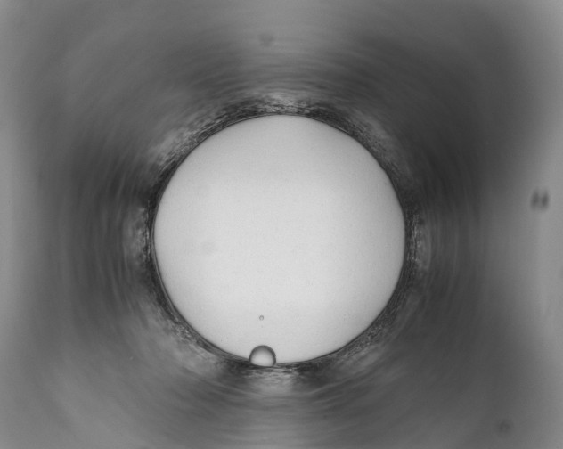 X0000111950318200908241210