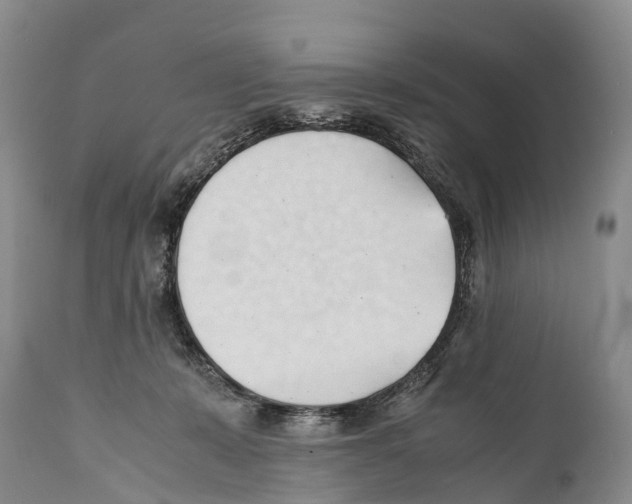 X0000111950319200908241210