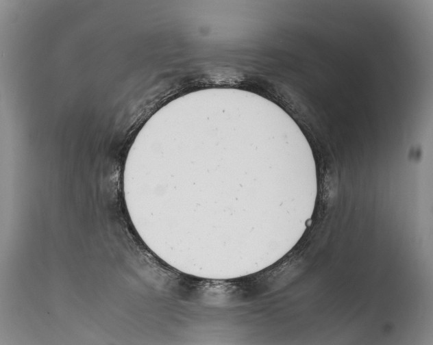 X0000111950321200908241210