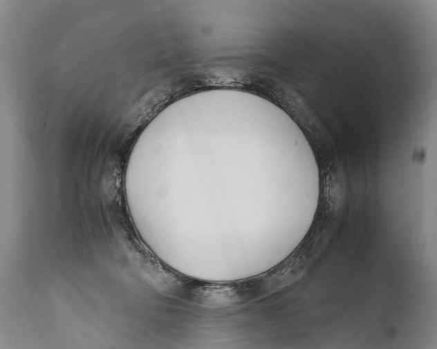 X0000111950322200908241210