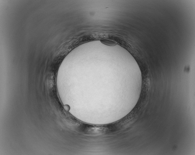 X0000111950323200908241210