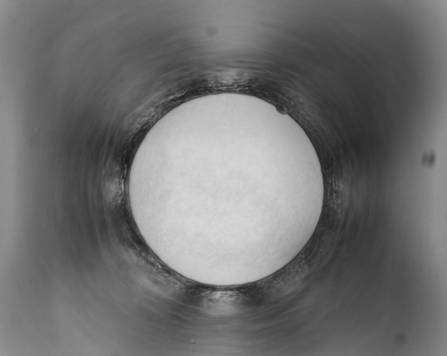 X0000111950324200908241210