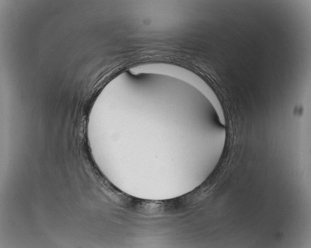 X0000111950325200908241210