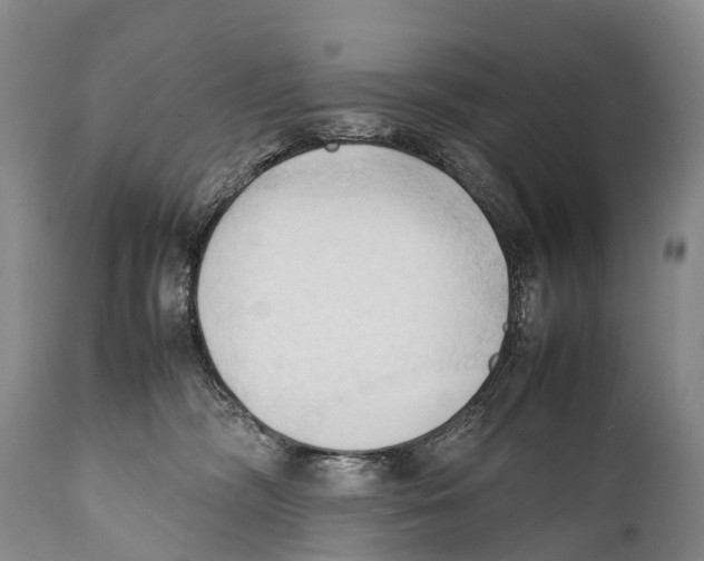 X0000111950326200908241210