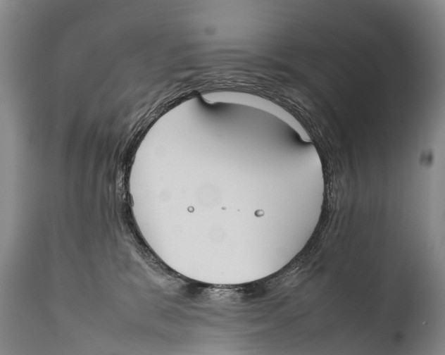 X0000111950327200908241210